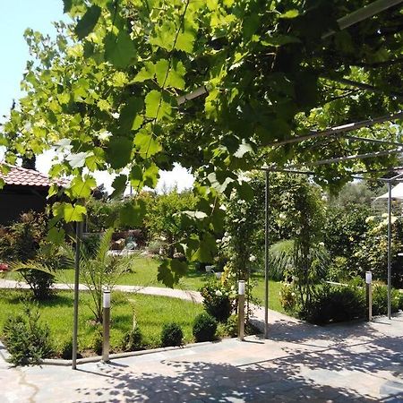 Villa Viktoria Halkidiki Nea Silata Екстер'єр фото