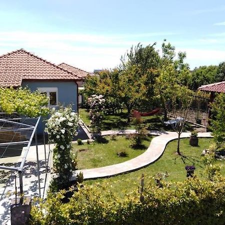 Villa Viktoria Halkidiki Nea Silata Екстер'єр фото