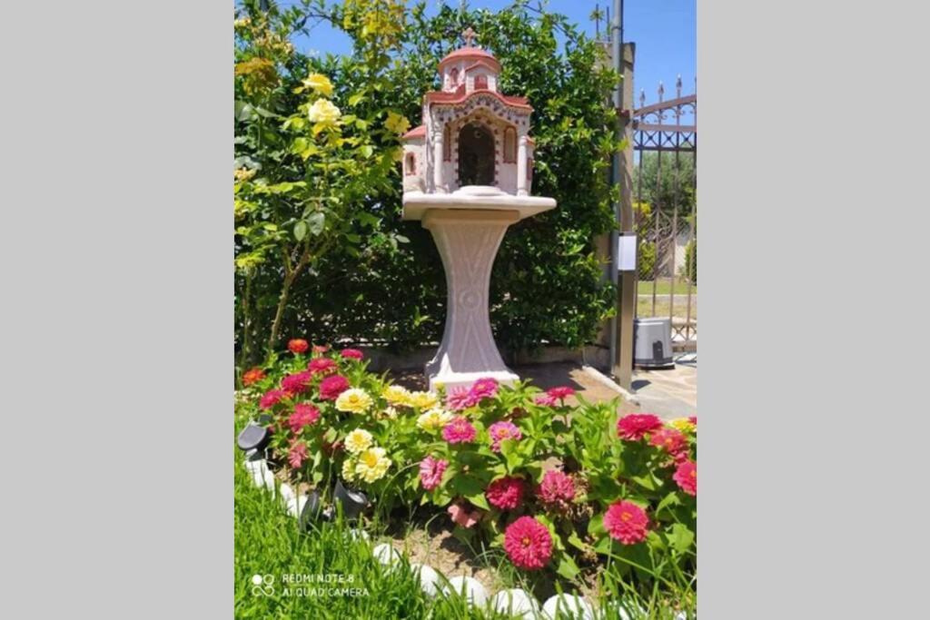 Villa Viktoria Halkidiki Nea Silata Екстер'єр фото