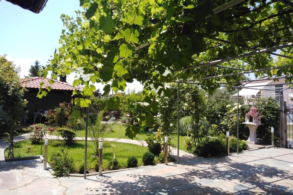 Villa Viktoria Halkidiki Nea Silata Екстер'єр фото