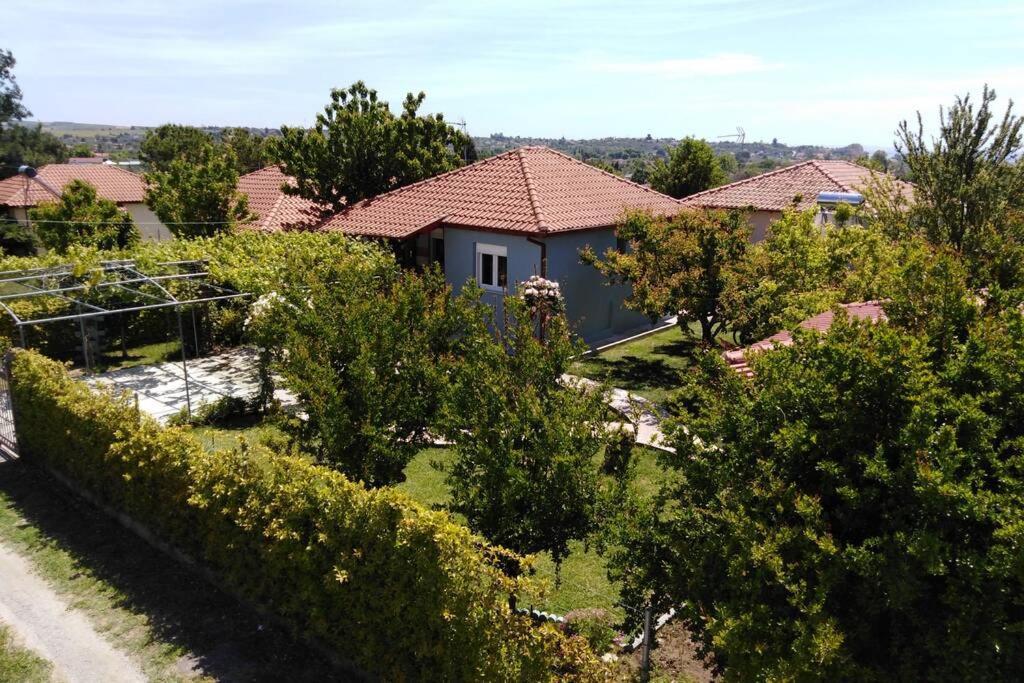Villa Viktoria Halkidiki Nea Silata Екстер'єр фото