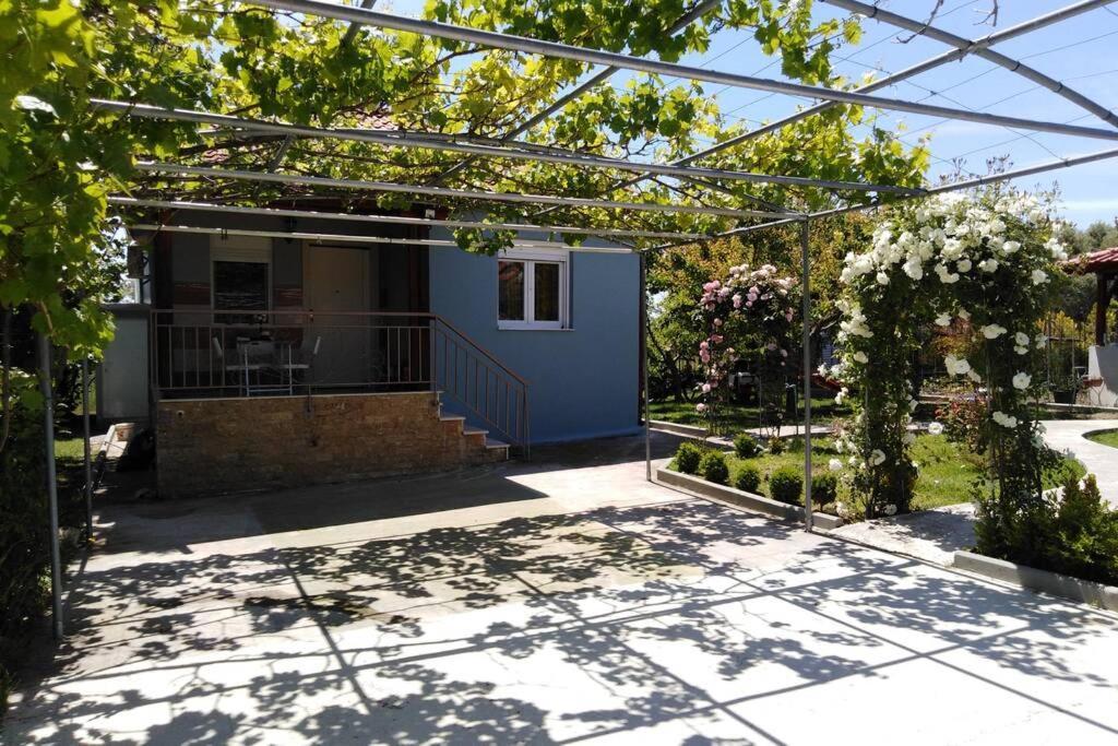 Villa Viktoria Halkidiki Nea Silata Екстер'єр фото