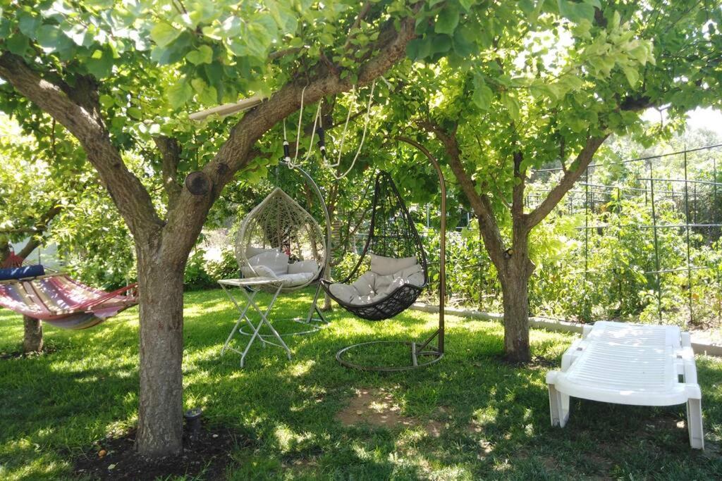 Villa Viktoria Halkidiki Nea Silata Екстер'єр фото