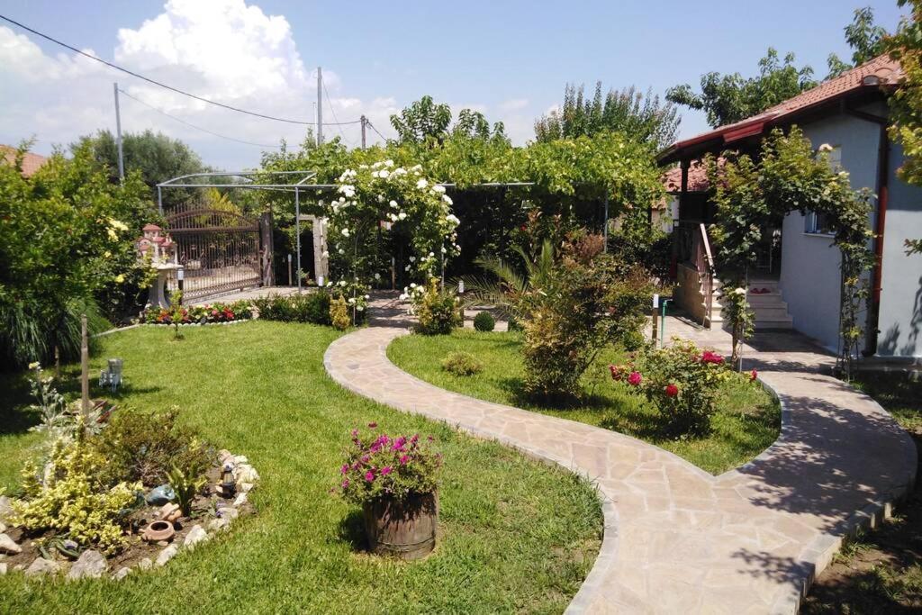 Villa Viktoria Halkidiki Nea Silata Екстер'єр фото