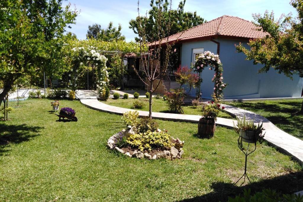 Villa Viktoria Halkidiki Nea Silata Екстер'єр фото