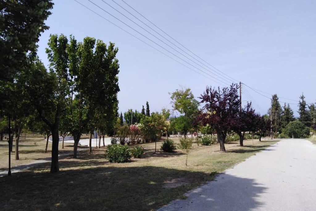 Villa Viktoria Halkidiki Nea Silata Екстер'єр фото